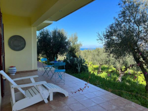 Peaceful home amongst olive groves by the sea